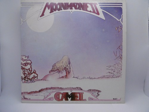 Camel moon - camel, (peter