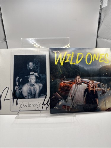 Wild ones yesterday - -,