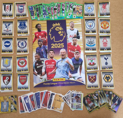Figurine panini premier league - panini,